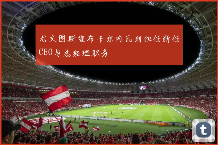 尤文图斯宣布卡尔内瓦利担任新任CEO与总经理职务
